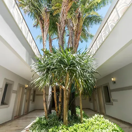 Babana 2* Göltürkbükü