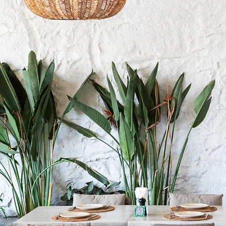 Hotel Babana Golturkbuku