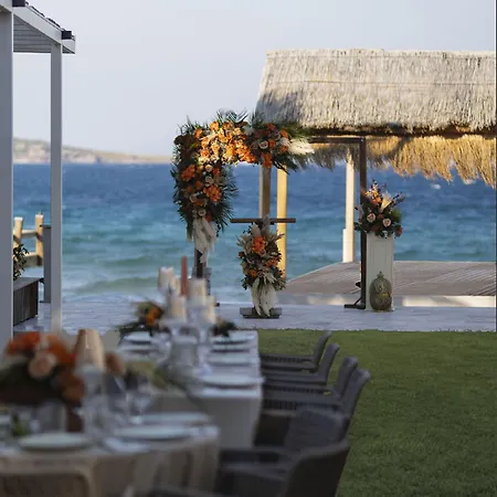 Babana 2* Golturkbuku