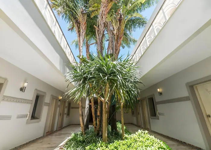 Babana 2* Göltürkbükü