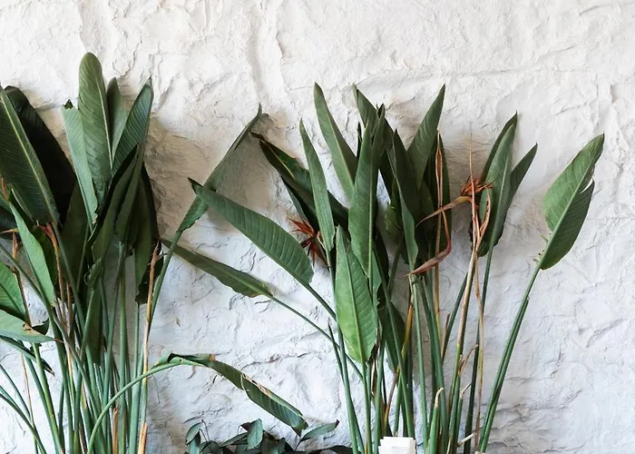 Otel Babana Göltürkbükü