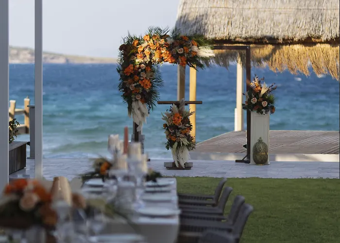 Babana 2* Göltürkbükü