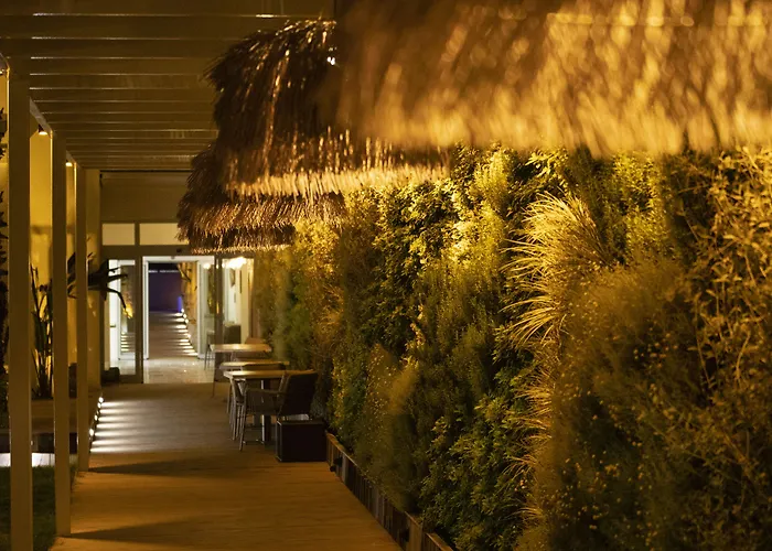 Babana 2* Göltürkbükü