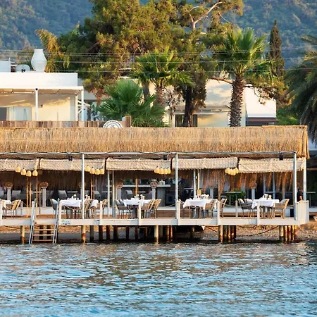 Hotel Babana