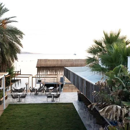 Babana 2* גולטורקבוקו