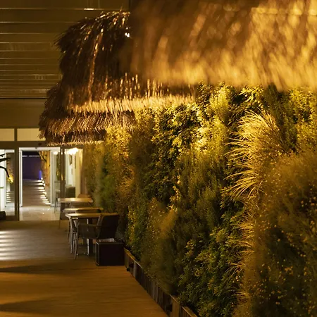 Babana 2* Türkbükü